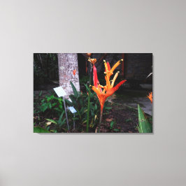 Impressão Em Tela flor laranjada