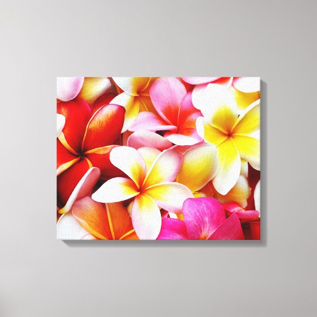 Impressão Em Tela Flor Plumeria Frangipani Hawaii Personalizado (Frente)