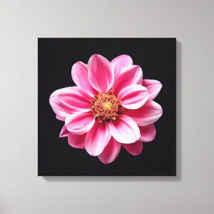 Impressão Em Tela Flor rosa