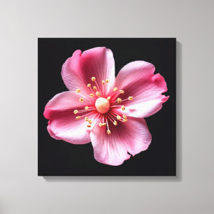 Impressão Em Tela Flor rosa