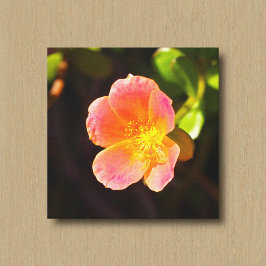 Impressão em Tela Flor Rosa Musgo Vermelho