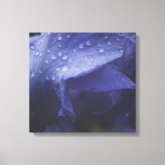 Impressão Em Tela Flor Rosa púrpura (Frente)