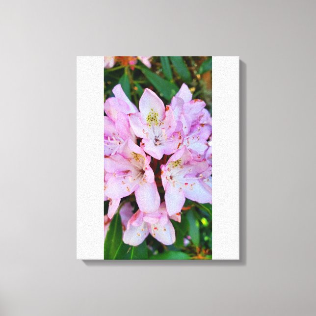 Impressão Em Tela Flor rosa Rhododendron (Frente)
