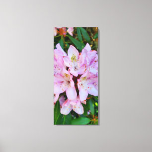 Impressão Em Tela Flor rosa Rhododendron
