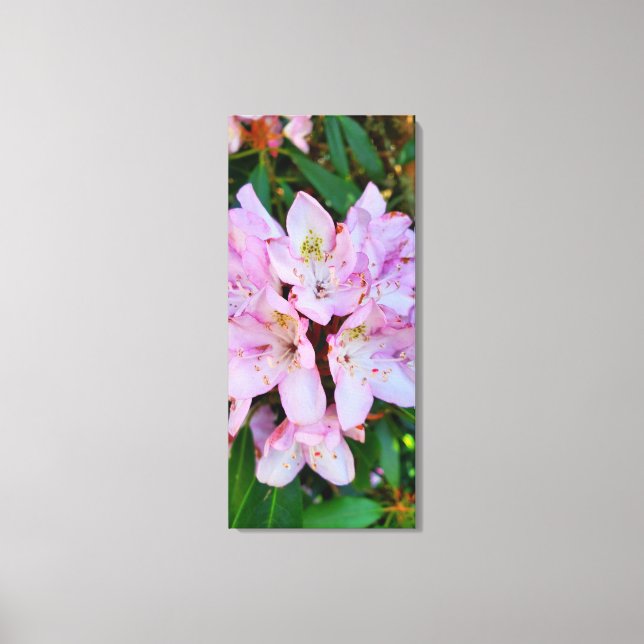 Impressão Em Tela Flor rosa Rhododendron (Frente)