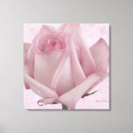 Impressão Em Tela Flor Rosa Rosa Rosa Suave