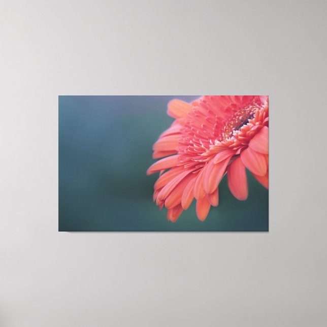 Impressão Em Tela Flor vermelha de Gerbera (Frente)