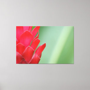 Impressão Em Tela Flor vermelho-havaiano