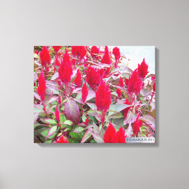 IMPRESSÃO EM TELA FLORA COLORIDA #2 (Frente)