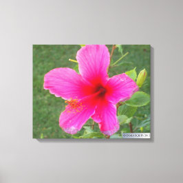 IMPRESSÃO EM TELA FLORA COLORIDA #5