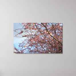 Impressão Em Tela floração de primavera cerejeira