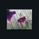 Impressão Em Tela Floral<br><div class="desc">A imagem da tela de 14' x 11" (1, 5") é composta por flores silvestres da manhã roxas, cor-de-rosa, salpicadas sobre uma cinza, cerca de madeira sobre a mãe de um verão ensolarado. Essas belezas vibrantes, delicadas e pequenas não duram muito depois de florescer, mas nós as amamos exatamente da...</div>