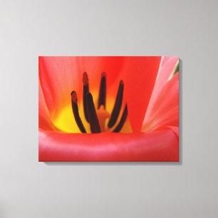 Impressão Em Tela Floral Belas Artes Vermelhas Tulipas Flores Arte M