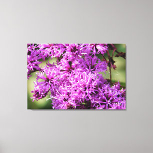 Impressão Em Tela Floral Fantasy