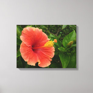 Impressão Em Tela Floral Tropical de Flor de Hibiscus Laranja