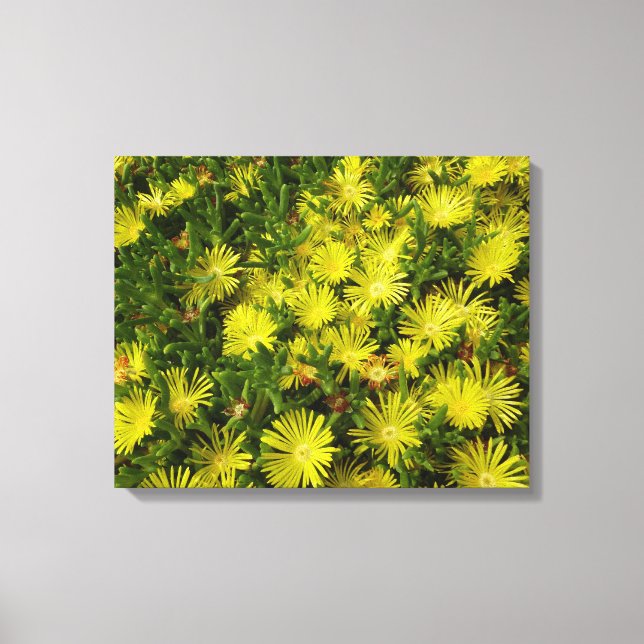 Impressão Em Tela Flores Amarelas Da Planta De Gelo ouro (Frente)