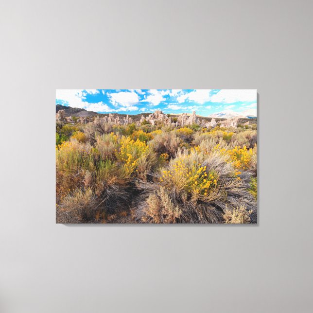 Impressão Em Tela Flores | Blooming Sagebrush California (Frente)
