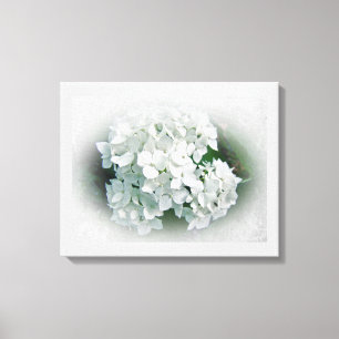Impressão Em Tela Flores brancas do Hydrangea
