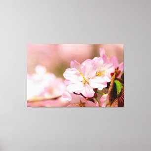 Impressão Em Tela Flores Charmin Sakura em Rosa, Rosa, Rosa