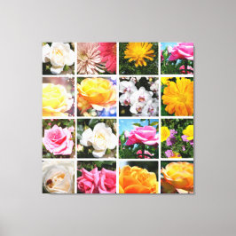 Impressão Em Tela Flores coloridas lindas, rosa, rosa-branca, rosa-a