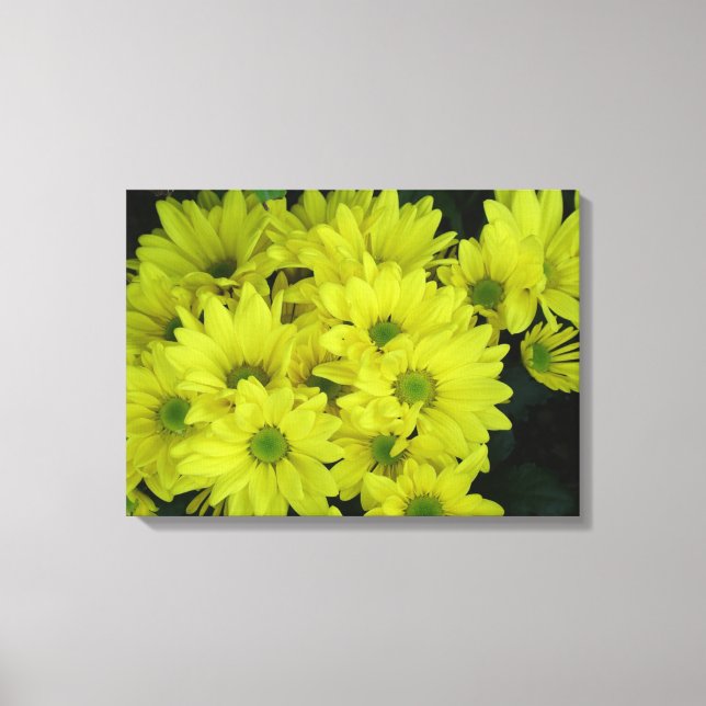 Impressão Em Tela flores da margarida amarela (Frente)