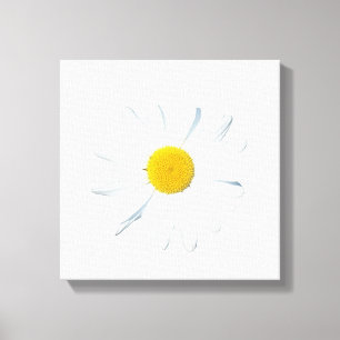 Impressão Em Tela Flores   Daisy Solteiro