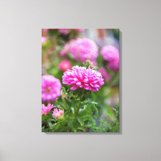 Impressão Em Tela Flores de Astras Rosa