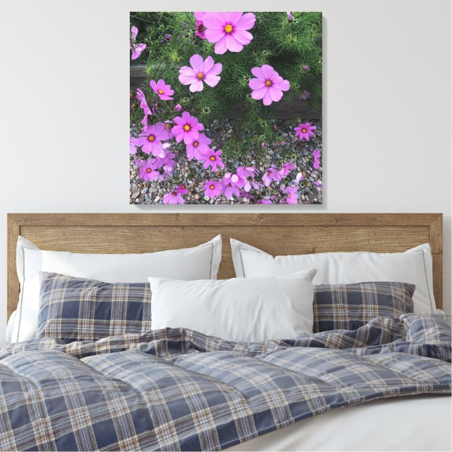 Impressão Em Tela Flores de cosmos com seixos em um (Insitu(Quarto))