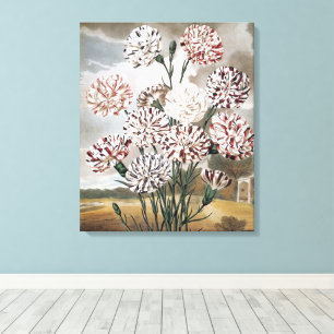 Impressão Em Tela Flores de Cravo Variegadas Vintage com Céu Cinzent