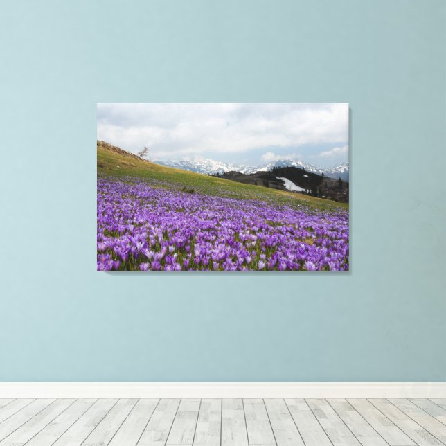 Impressão Em Tela Flores de Crocus em Velika Planina, Eslovênia (Insitu(piso de madeira))