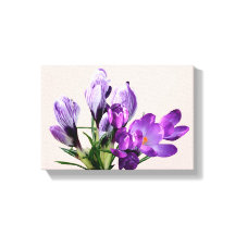 Flores de crocus roxo boho modernos e elegantes 