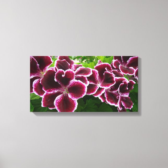 Impressão Em Tela Flores de Gerânio Real Elegantes Florais Marrons (Frente)
