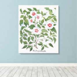 Impressão Em Tela Flores de Hibisco Antigas por Basilius Besler
