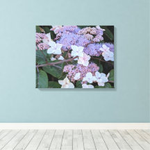 Flores de Hydrangea Aspera Floral