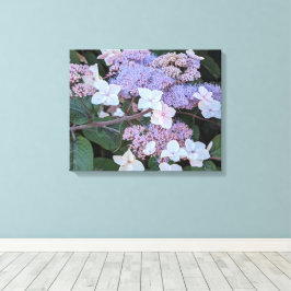 Impressão Em Tela Flores de Hydrangea Aspera Floral