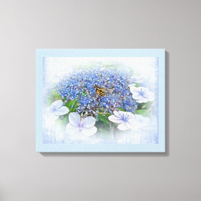 Impressão Em Tela Flores de Hydrangea de Boné Azul (Frente)