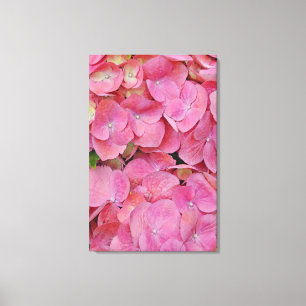 Impressão Em Tela Flores de Hydrangea Rosa Arte Fotográfica