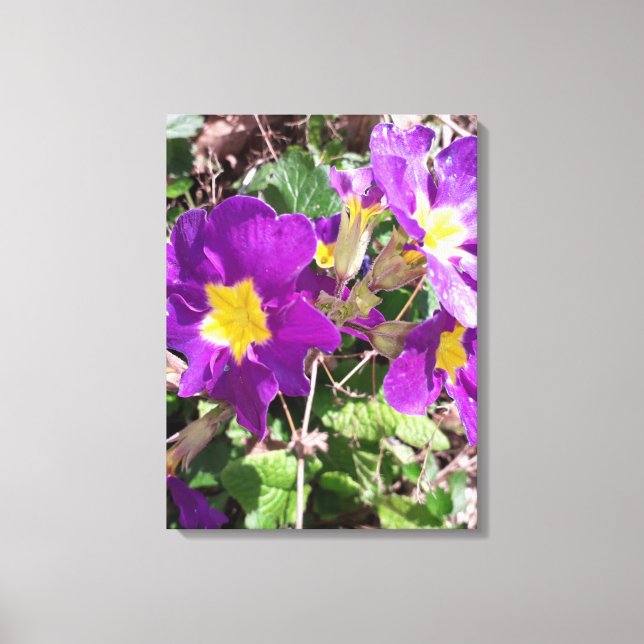 Impressão Em Tela Flores de jardim roxas (Frente)