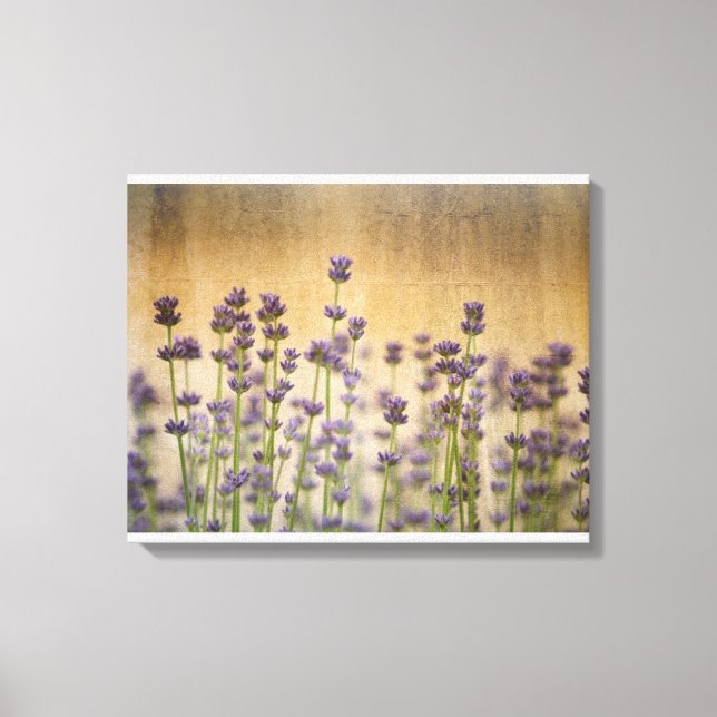 Impressão Em Tela Flores de Lavanda bonito (Frente)
