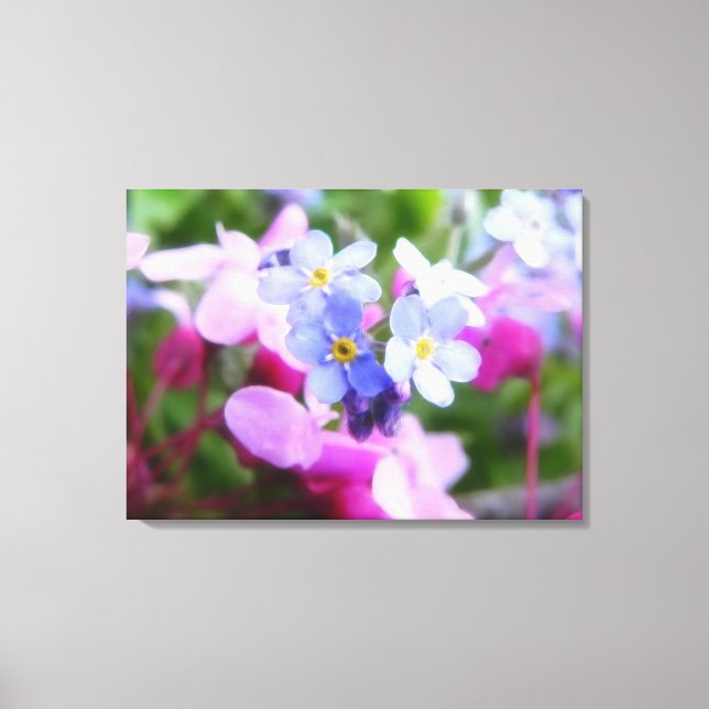 Impressão Em Tela Flores De Mola Rosa E Azul (Frente)