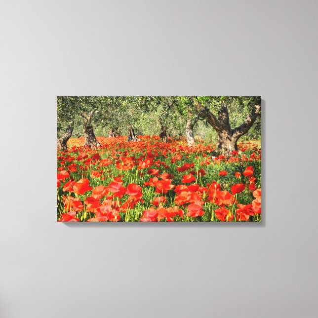 Impressão Em Tela Flores de papoila vermelha sob oliveiras antigas (Frente)