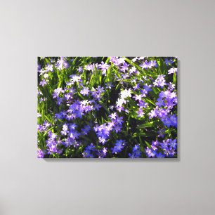 Impressão Em Tela Flores de primavera de Blue Squill