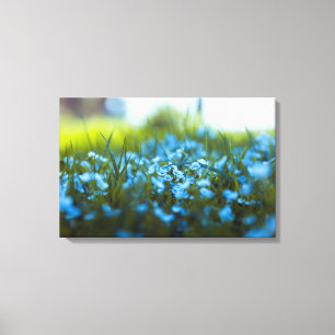 Impressão Em Tela Flores de primavera no campo