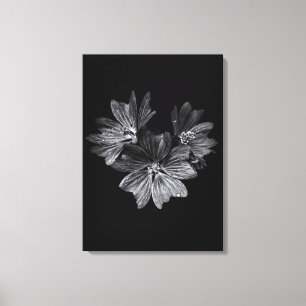 Impressão Em Tela Flores De Quintal A Preto E Branco N.O 11