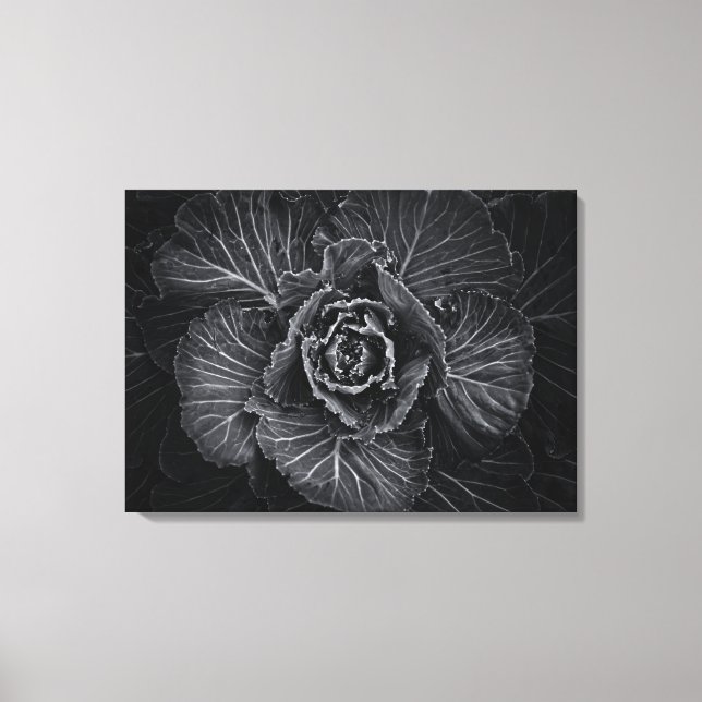 Impressão Em Tela Flores De Quintal A Preto E Branco No 108 (Frente)