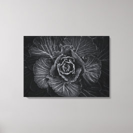 Impressão Em Tela Flores De Quintal A Preto E Branco No 108