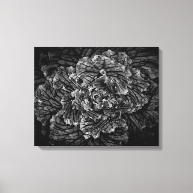 Impressão Em Tela Flores De Quintal A Preto E Branco No 42 (Frente)