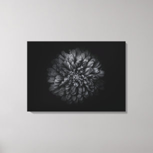 Impressão Em Tela Flores De Quintal A Preto E Branco No 68