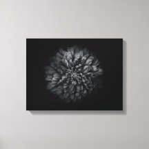 Flores De Quintal A Preto E Branco No 68