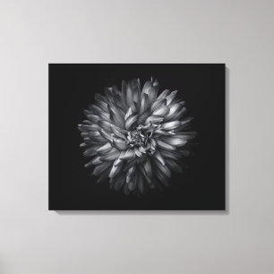 Impressão Em Tela Flores De Quintal Em Preto E Branco 20